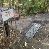 Major renewal works underway throughout the rainforest section of the gardens
