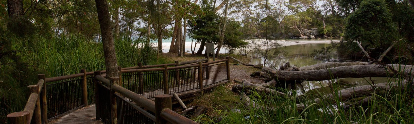 The walkway to Green Patch beach