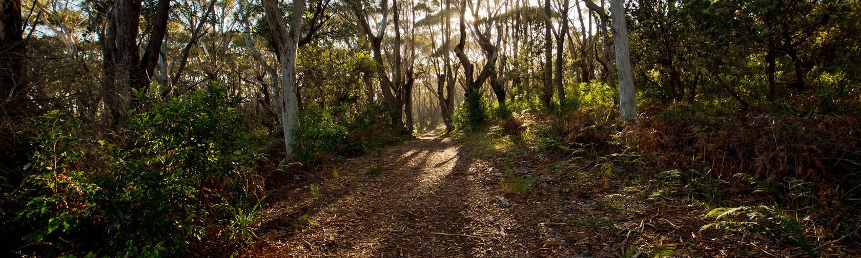 Munyunga Waraga Dhugan trail