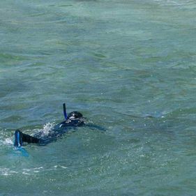 Snorkelling at Booderee National Park