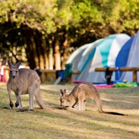 Camping at Booderee