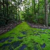 Booderee National Park