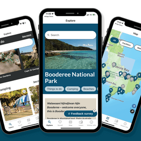 BNP app promotion