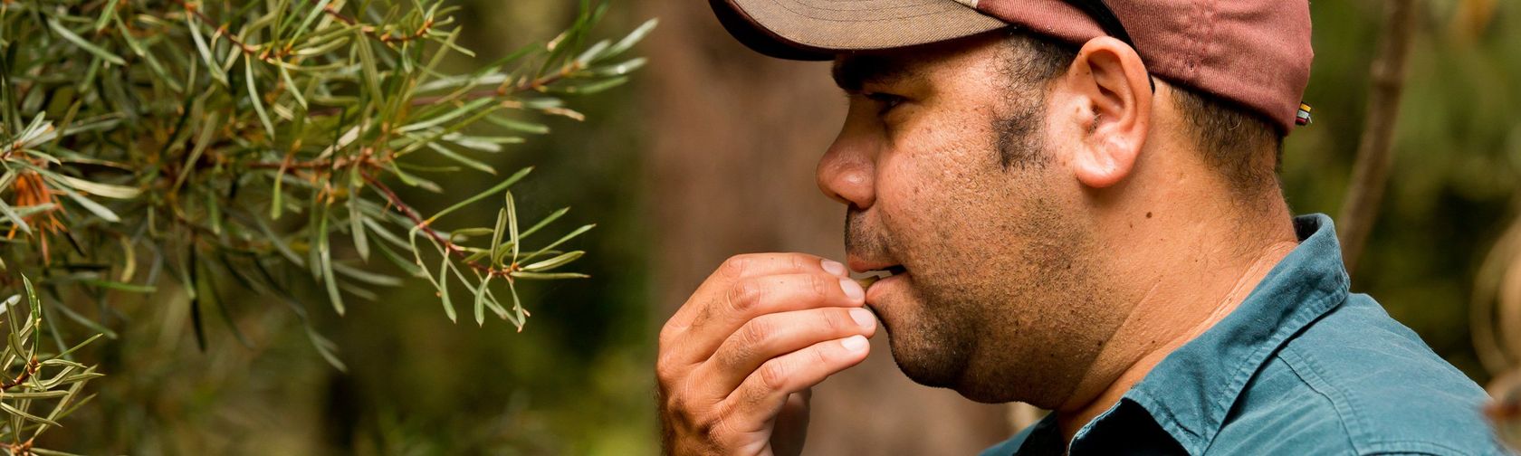 Bush tucker| Booderee Botanic Gardens