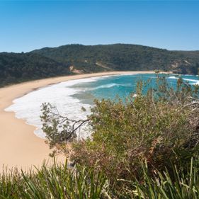 Steamers Head beaches