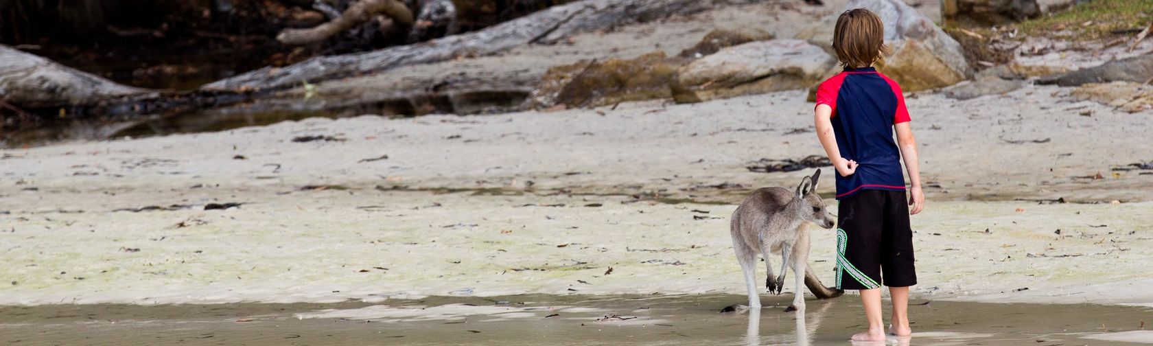 A child with a local kangaroo on Green Patch beach