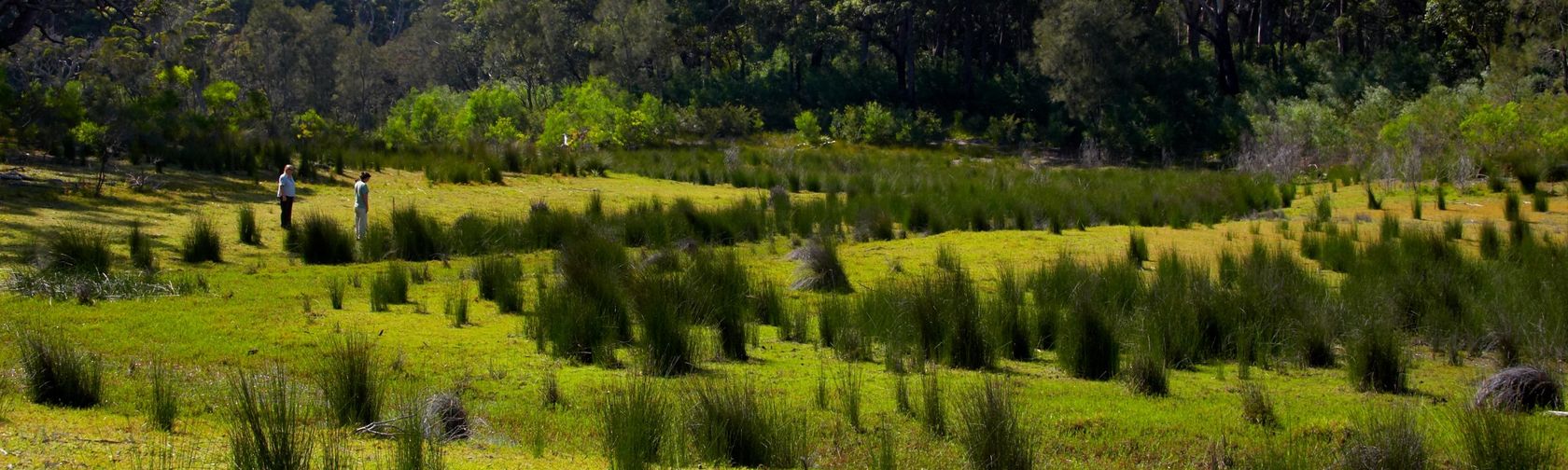 Walks in Booderee National Park