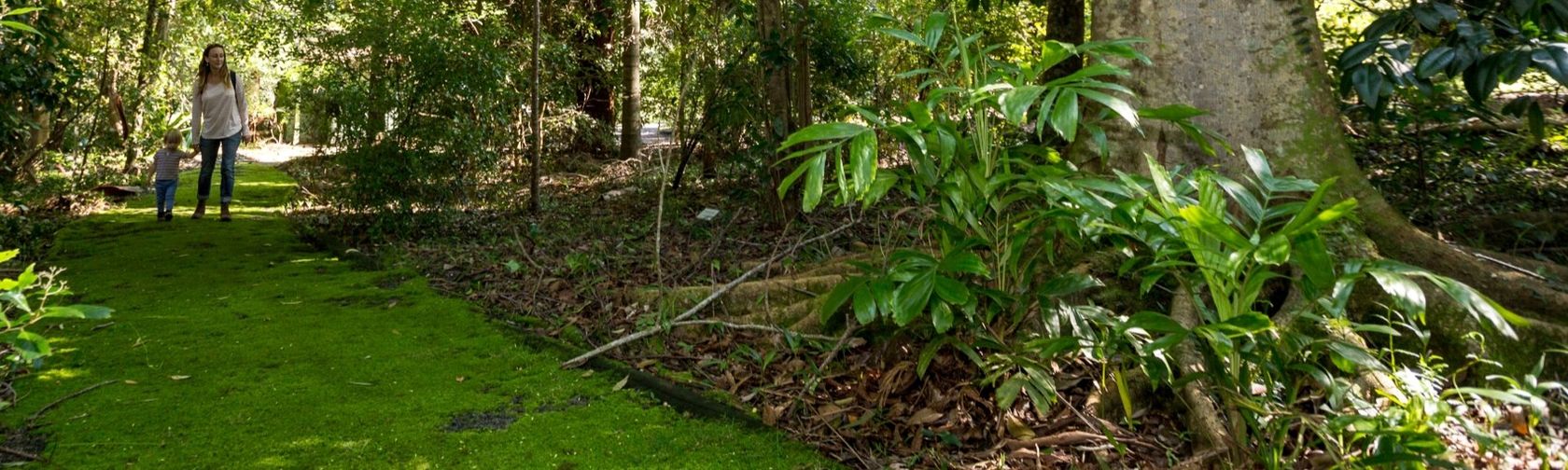 Booderee National Park rainforest walk