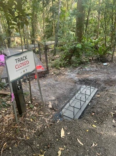 Major renewal works underway throughout the rainforest section of the gardens.