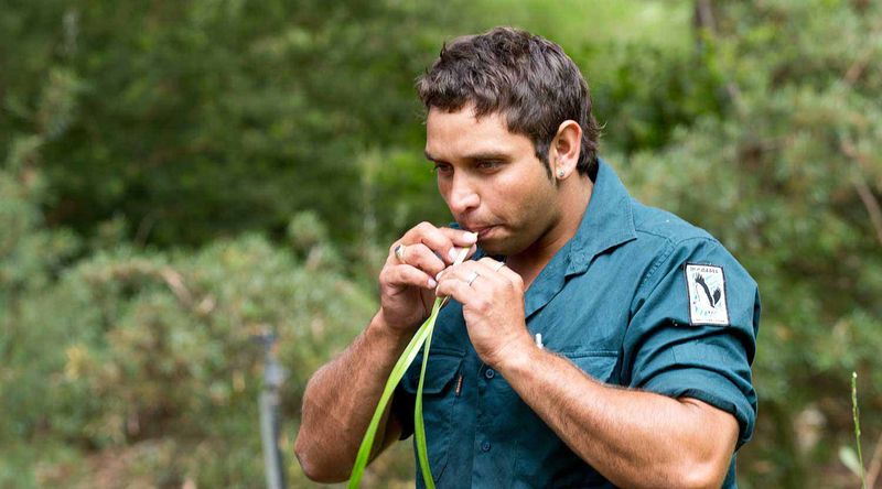 Snake whistle| Booderee National Park.