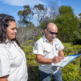 Bush rat monitoring