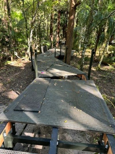 Major renewal works underway throughout the rainforest section of the gardens.