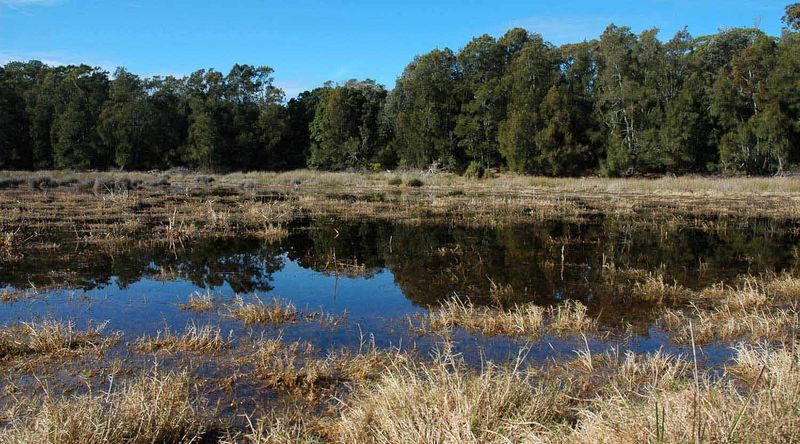 Ryans Swamp at Booderee National Park.