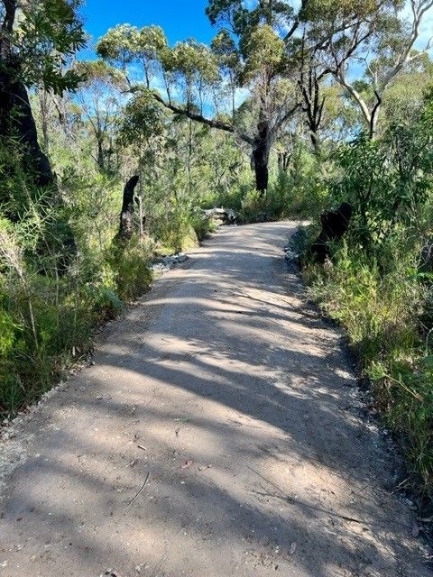 Telegraph Creek Walking Track.