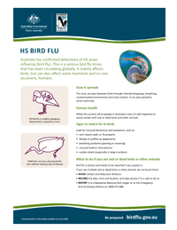 H5 bird flu fact sheet