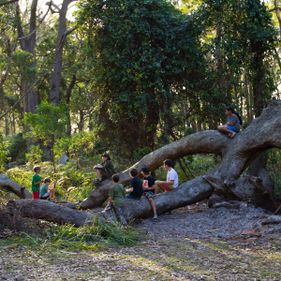 Children playing on a fallen tree stump.